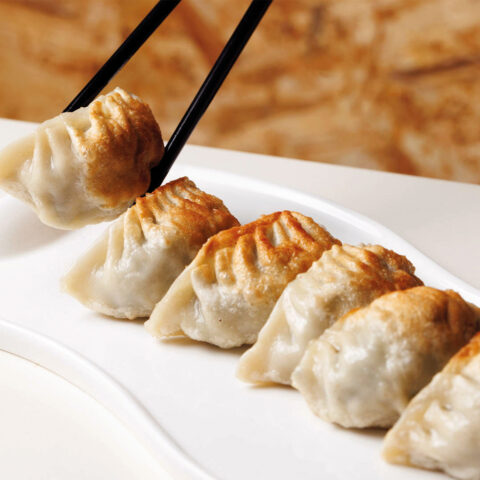 WO TIP DUMPLINGS