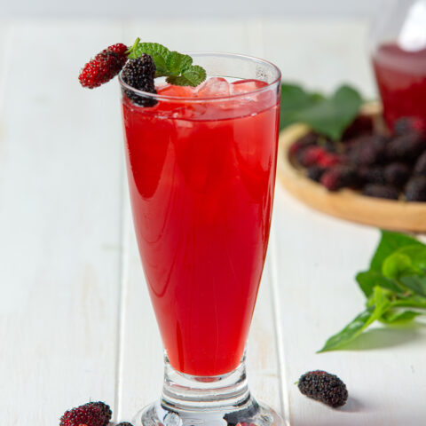 LIMONADA Frutos rojos